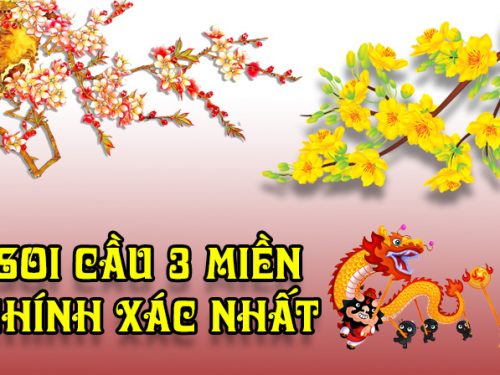 xsmn dự đoán bao lô chuẩn hôm nay