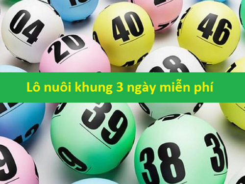 Nuôi lô khung 3 ngày chuẩn, chính xác tuyệt đối