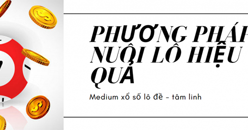kinh nghiệm nuôi lô trong tuần dễ trúng nhất