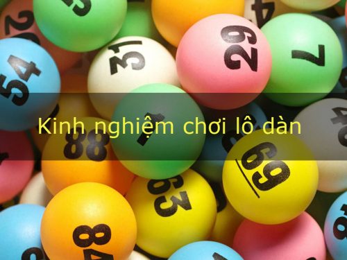 bí quyết nuôi lô và đánh lô dàn hiệu quả