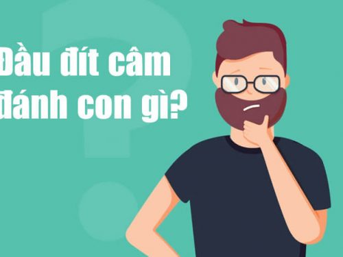 những điều bạn cần biết về dấu hiệu và cách đánh lô câm đầu câm đuôi