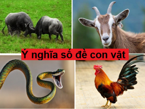 số đề là gì? tìm hiểu ý nghĩa con vật trong số đề
